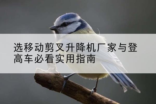 水富电动升降机厂家-选移动剪叉升降机厂家与登高车必看实用指南