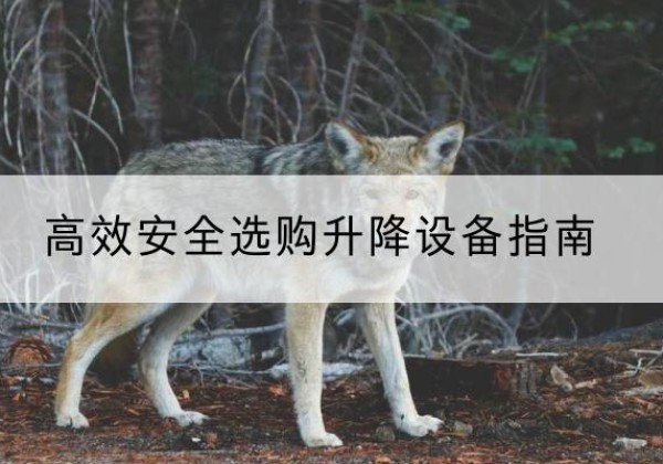 水富升降货梯厂家推荐-*安全选购升降设备指南
